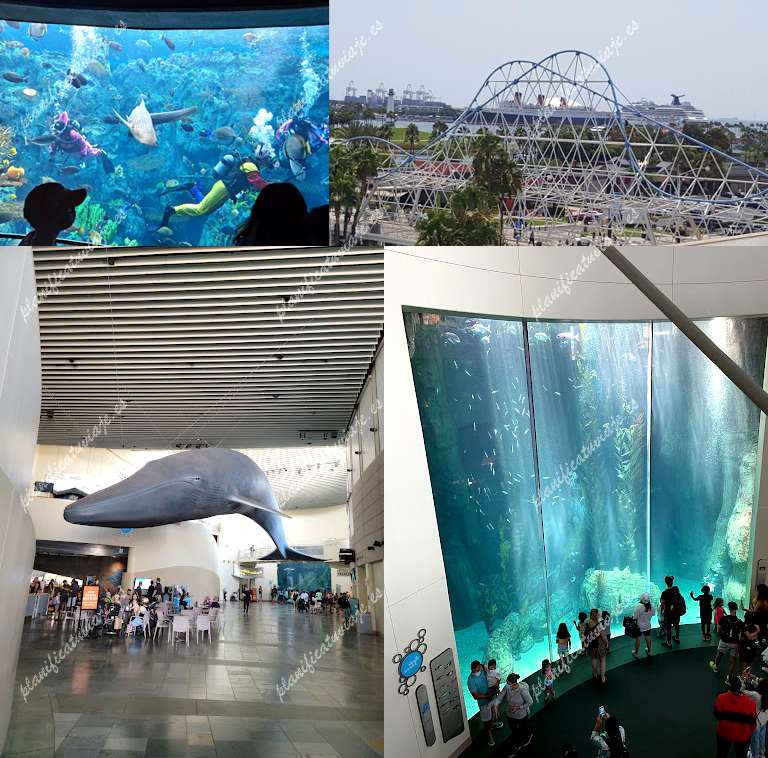Aquarium of the Pacific de Long Beach | Horario, Mapa y entradas