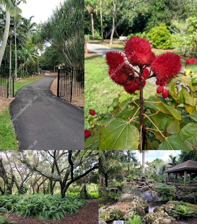 Arboretum at Constitution Park de Deerfield Beach | Horario, Mapa y entradas