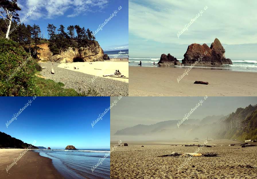 Arcadia Beach State Recreation Site de Arch Cape | Horario, Mapa y entradas