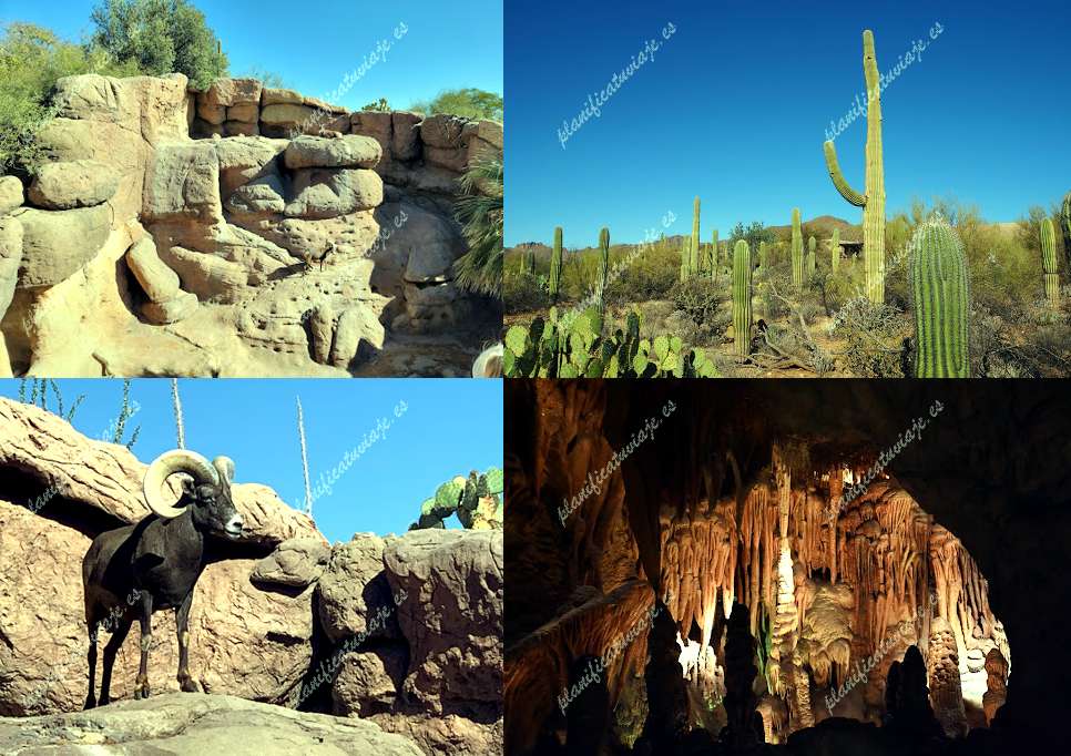 Arizona-Sonora Desert Museum de Tucson | Horario, Mapa y entradas