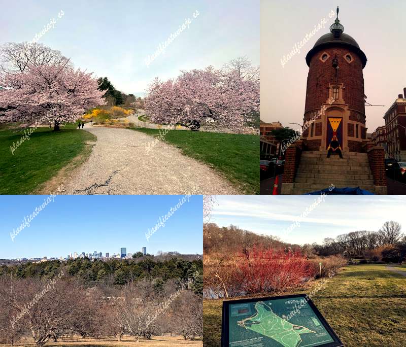 Arnold Arboretum of Harvard University de Boston | Horario, Mapa y entradas