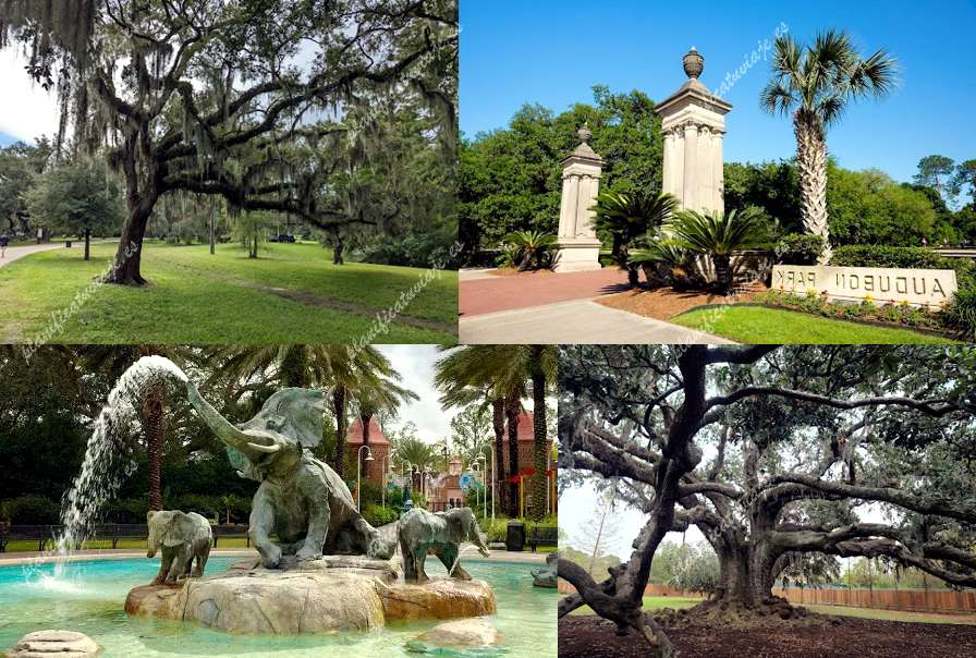 Audubon Park de New Orleans | Horario, Mapa y entradas 3
