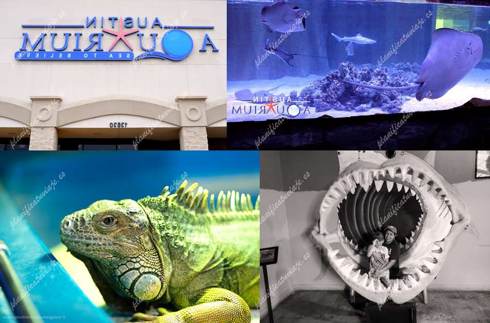 Austin Aquarium de Austin | Horario, Mapa y entradas