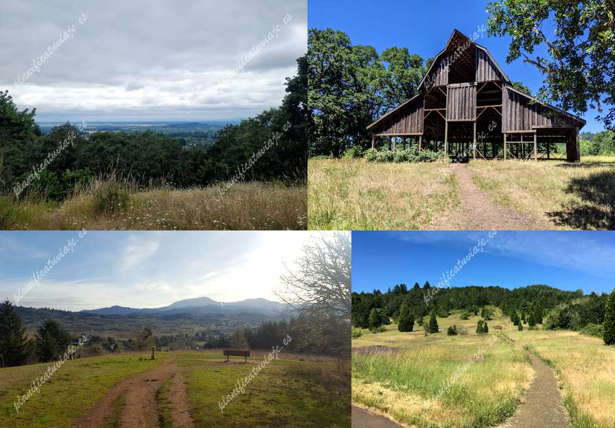 Bald Hill Natural Area de Corvallis | Horario, Mapa y entradas
