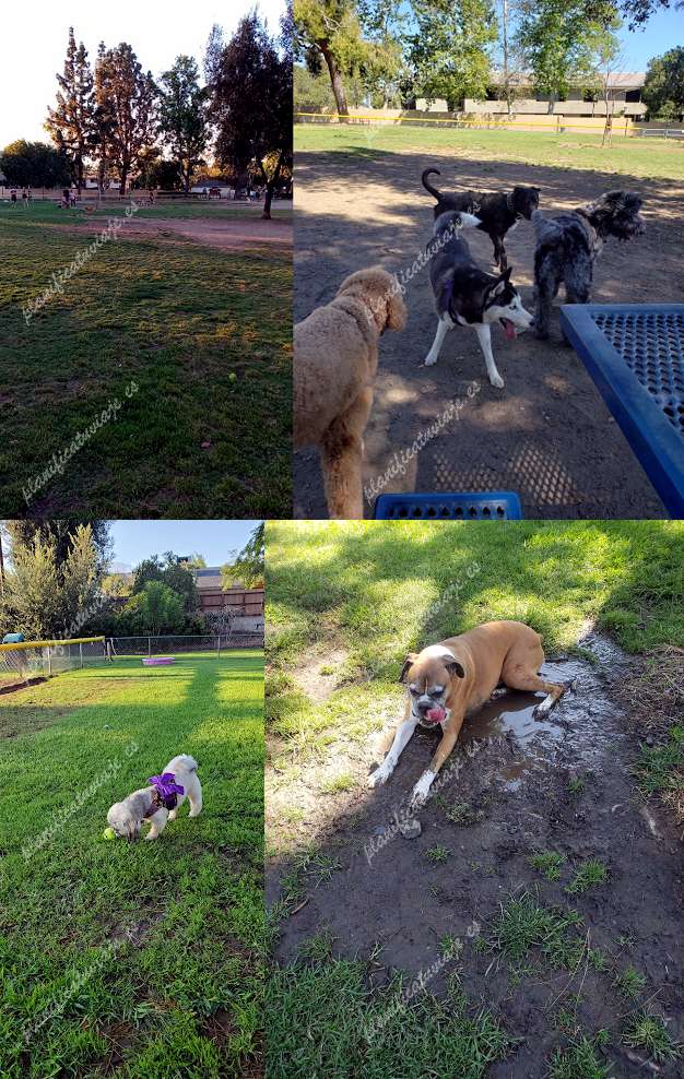 Baldy View Dog Park de Upland | Horario, Mapa y entradas