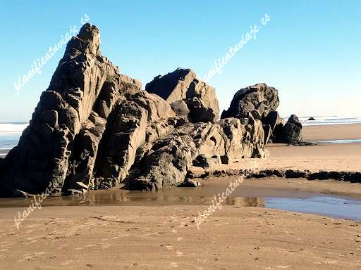 Bandon State Natural Area de Bandon | Horario, Mapa y entradas