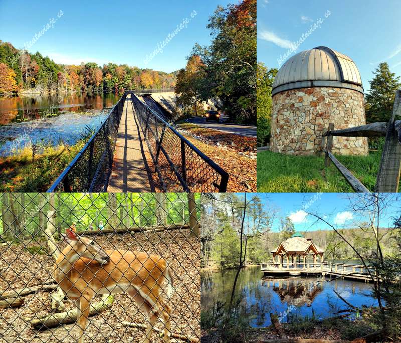 Bays Mountain Park & ​​Planetarium de Kingsport | Horario, Mapa y entradas