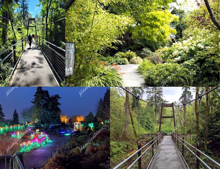 Bellevue Botanical Garden de Bellevue | Horario, Mapa y entradas