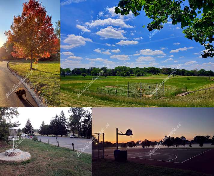 Belmont Park de Elmont | Horario, Mapa y entradas