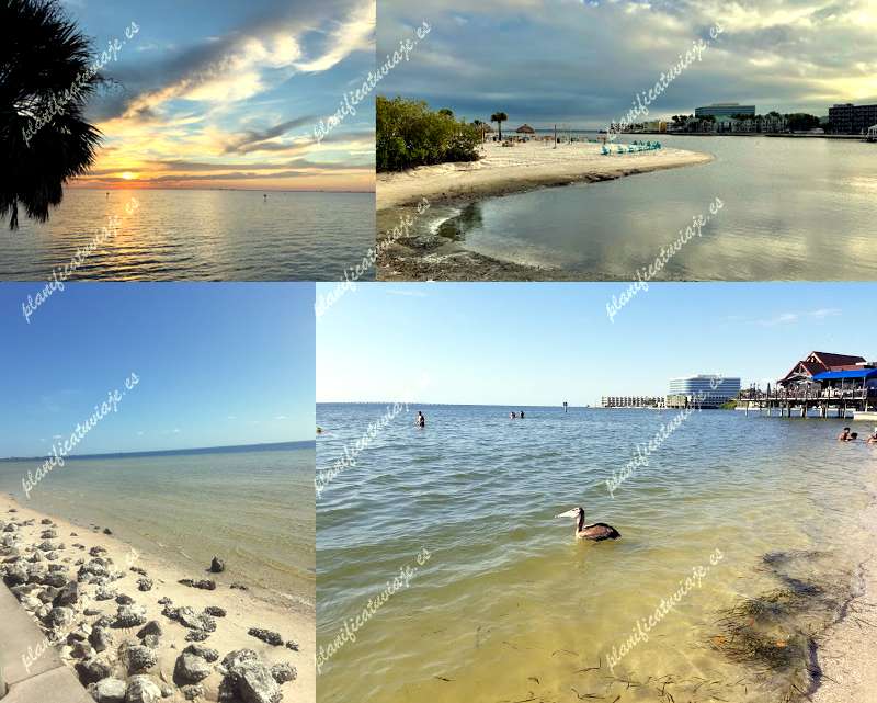 Ben T Davis Beach de Tampa | Horario, Mapa y entradas