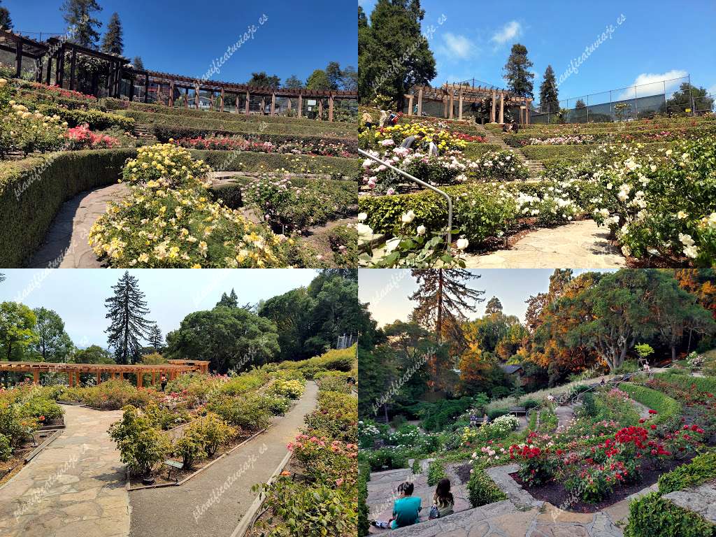 Berkeley Rose Garden de Berkeley | Horario, Mapa y entradas
