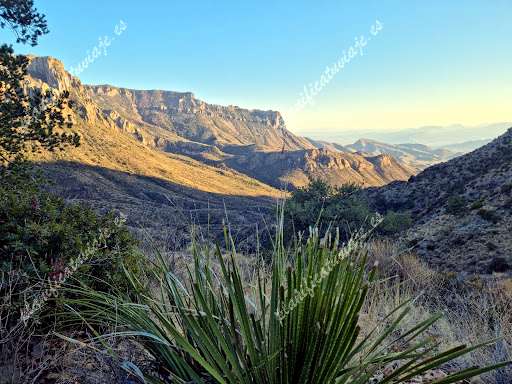 Big Bend National Park de Big Bend National Park | Horario, Mapa y entradas