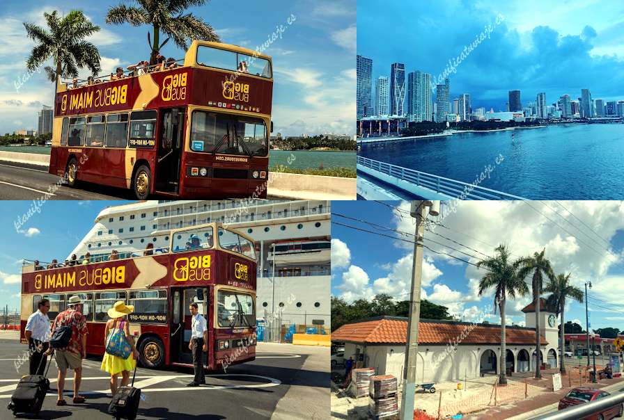 Big Bus Tours Miami de Miami | Horario, Mapa y entradas 12