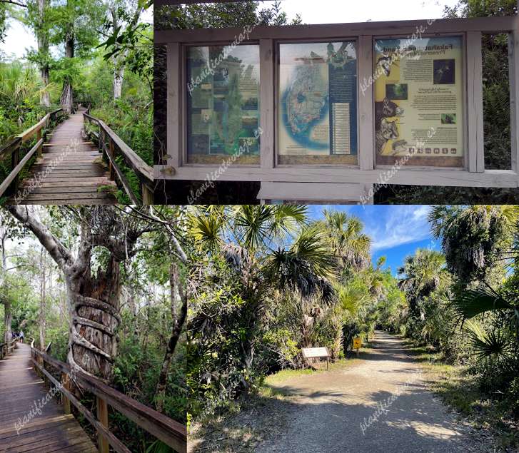 Big Cypress Bend Boardwalk de Naples | Horario, Mapa y entradas