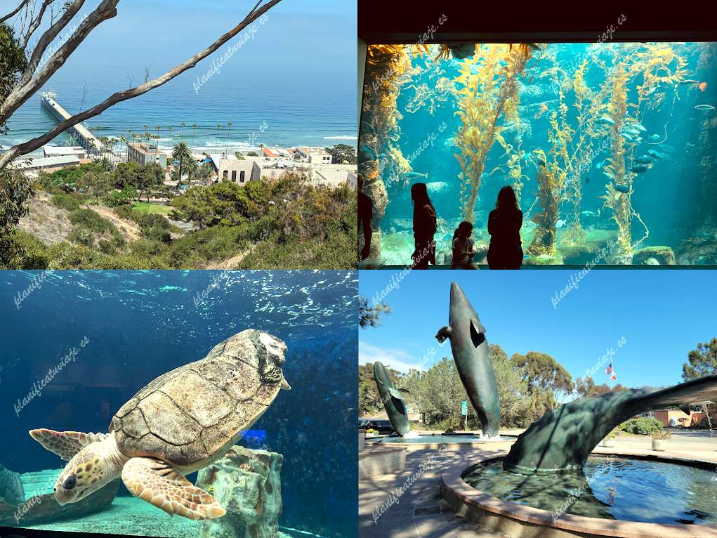 Birch Aquarium at Scripps Institution of Oceanography de La Jolla | Horario, Mapa y entradas 2