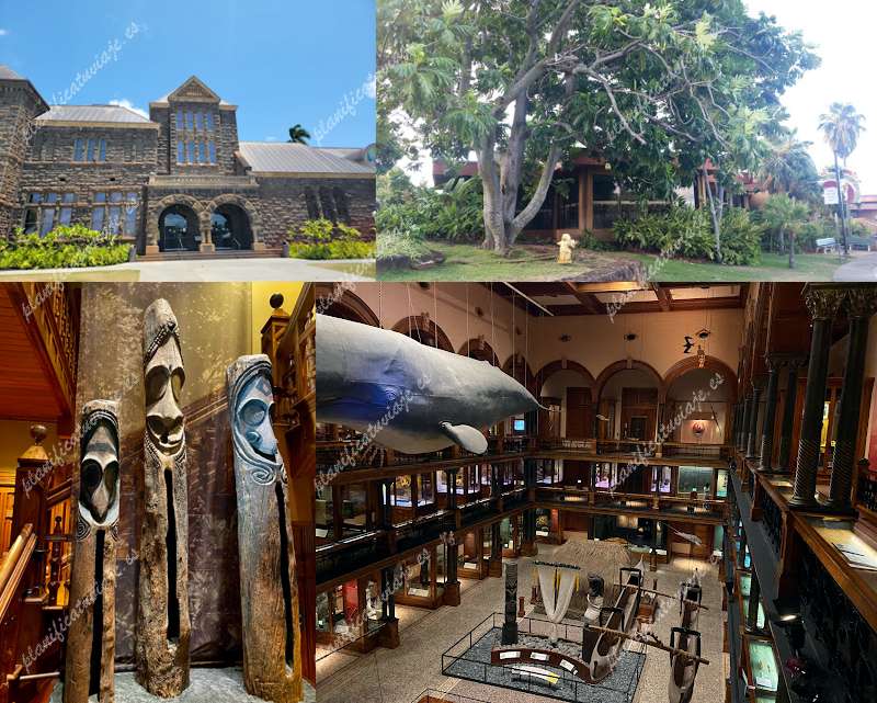 Bishop Museum de Honolulu | Horario, Mapa y entradas 9