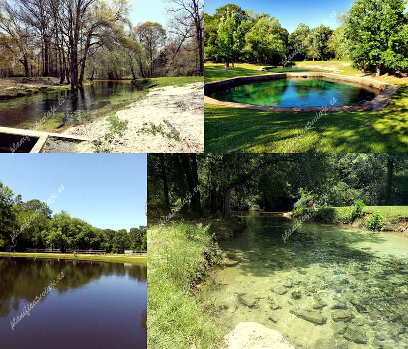 Blue Springs State Park de Clio | Horario, Mapa y entradas