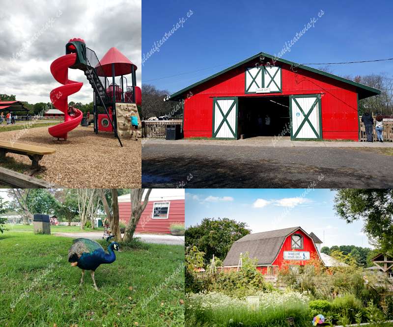 Bluebird Gap Farm de Hampton | Horario, Mapa y entradas