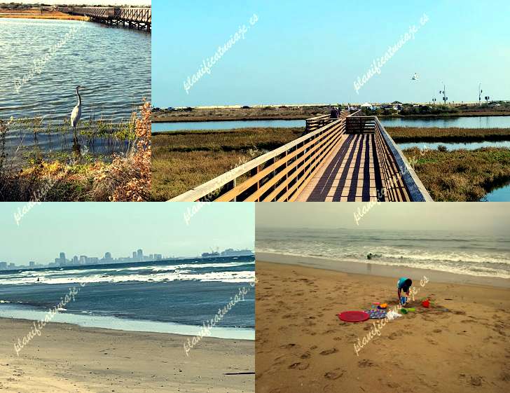 Bolsa Chica State Beach de Huntington Beach | Horario, Mapa y entradas