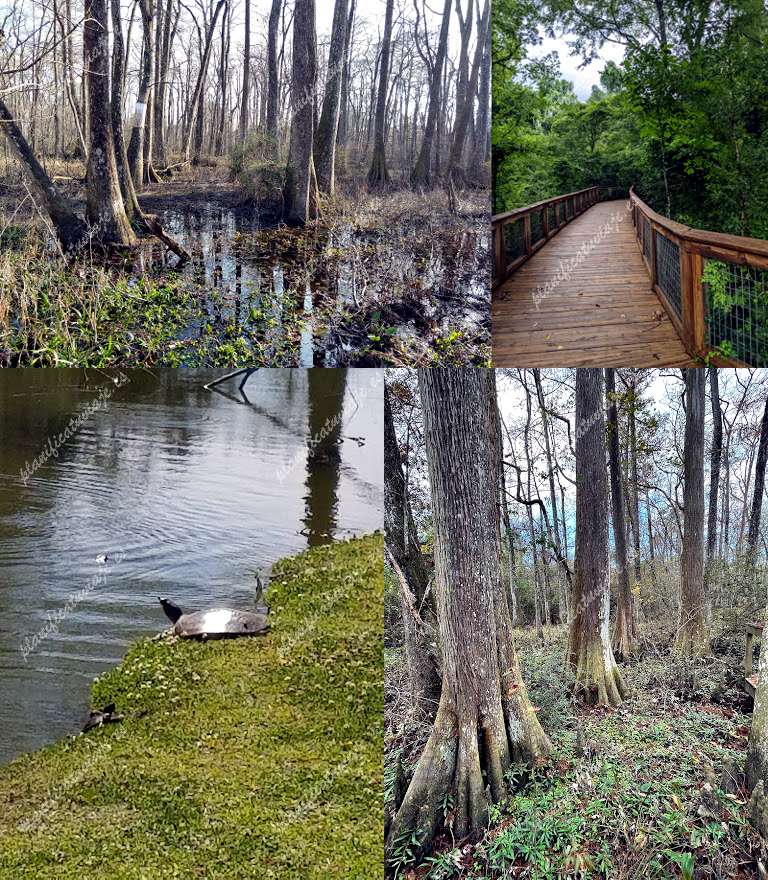 BREC's Bluebonnet Swamp Nature Center de Baton Rouge | Horario, Mapa y entradas