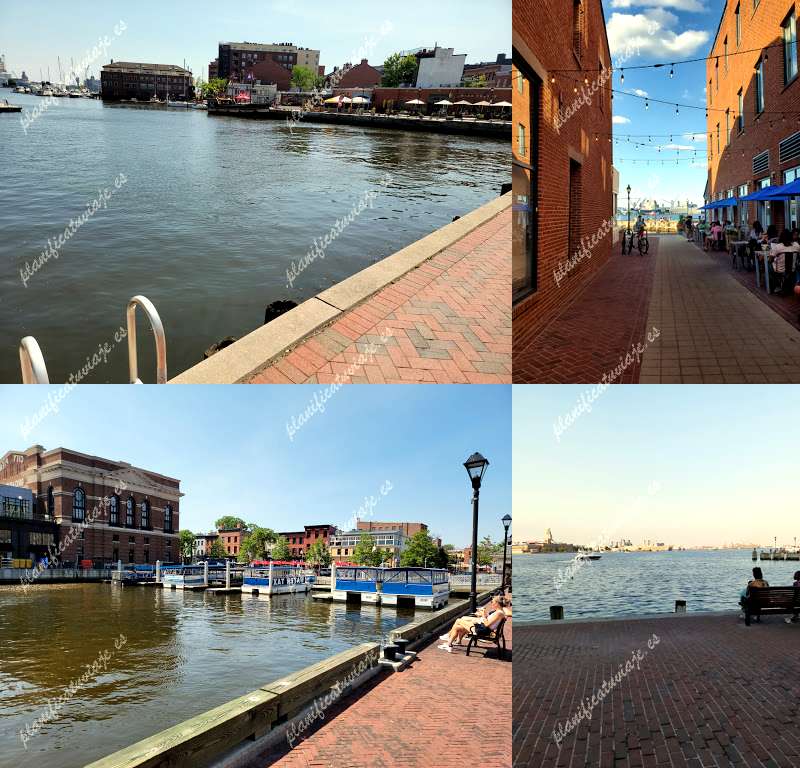 Broadway Pier de Baltimore | Horario, Mapa y entradas 13