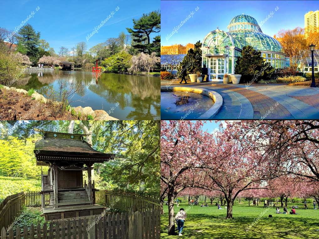 Brooklyn Botanic Garden de Brooklyn | Horario, Mapa y entradas