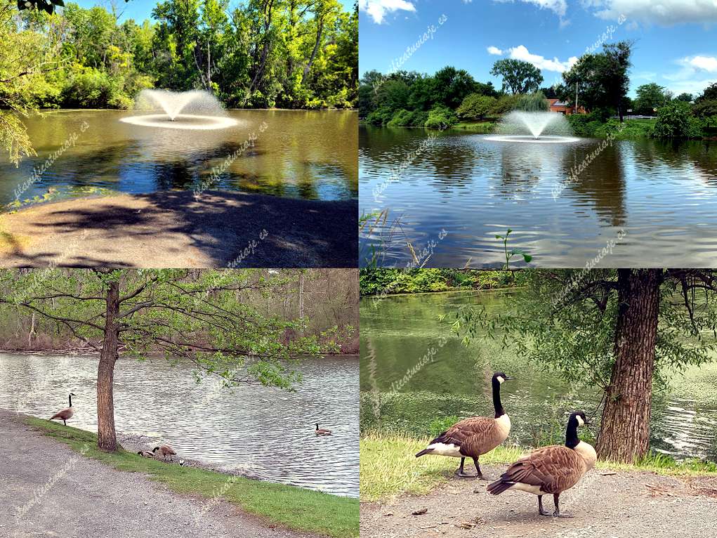 Buckingham Lake Park de Albany | Horario, Mapa y entradas