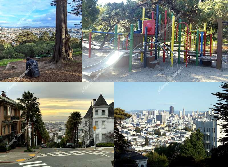 Buena Vista Park de San Francisco | Horario, Mapa y entradas