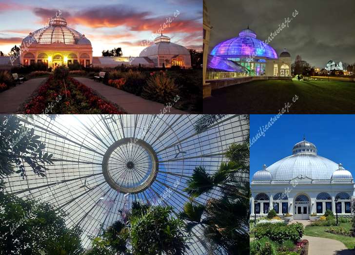 Buffalo and Erie County Botanical Gardens de Buffalo | Horario, Mapa y entradas