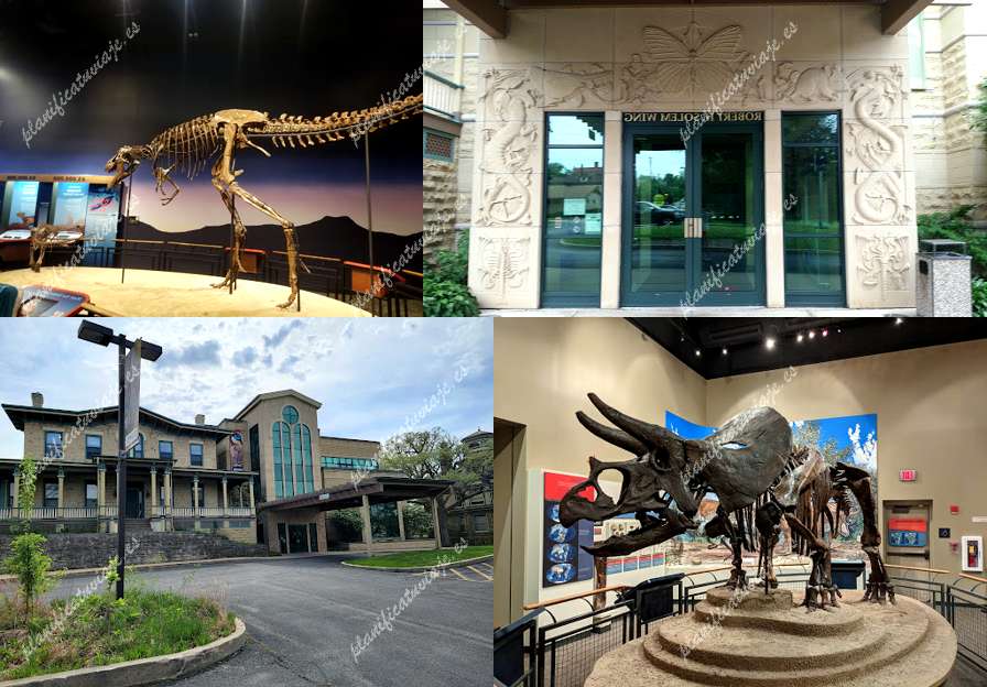 Burpee Museum of Natural History de Rockford | Horario, Mapa y entradas