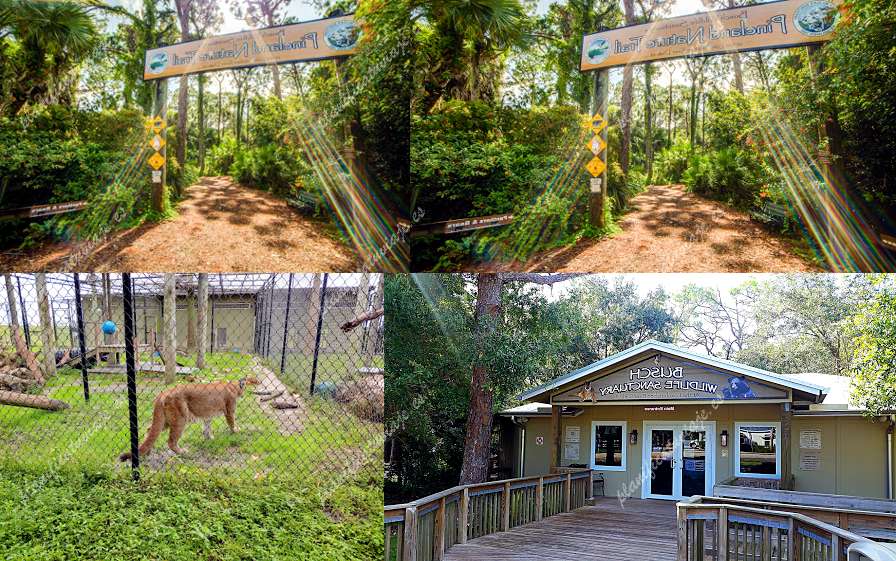 Busch Wildlife Sanctuary de Jupiter | Horario, Mapa y entradas