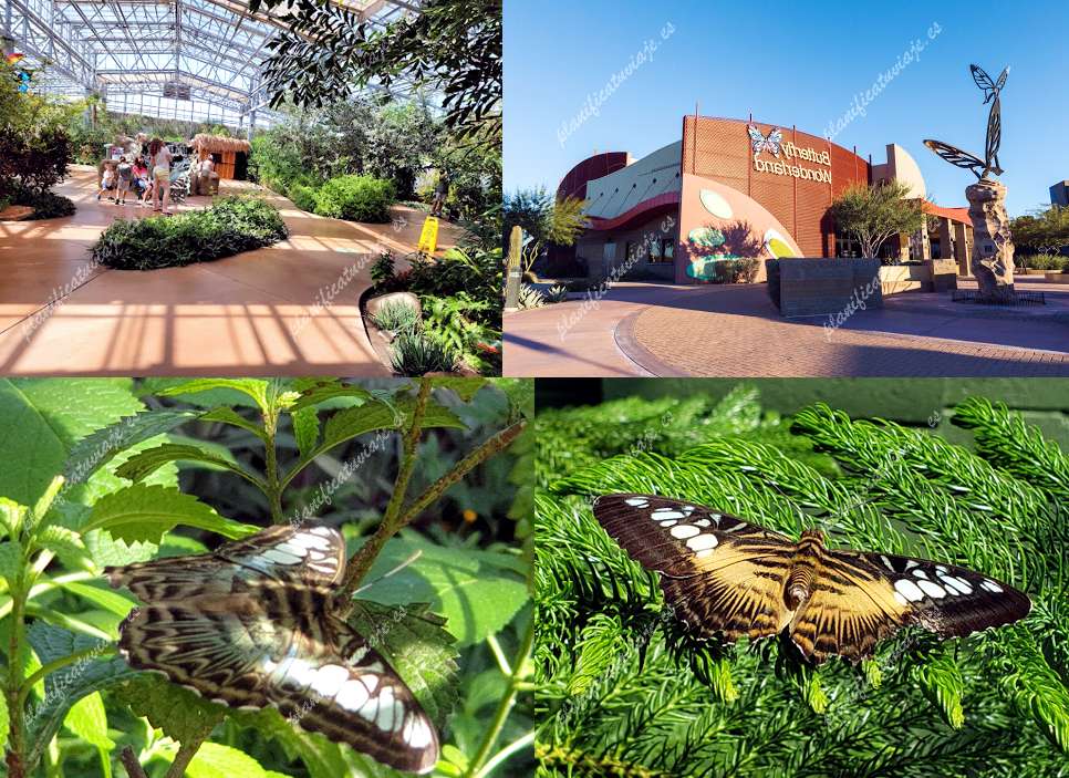 Butterfly Wonderland de Scottsdale | Horario, Mapa y entradas