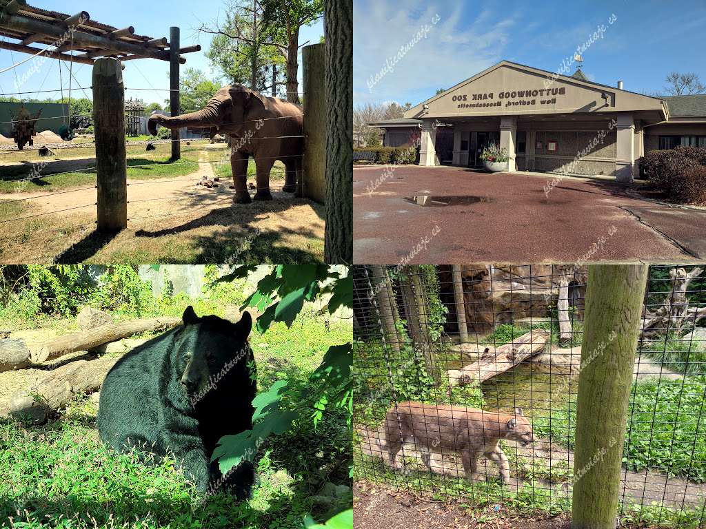 Buttonwood Park Zoo de New Bedford | Horario, Mapa y entradas