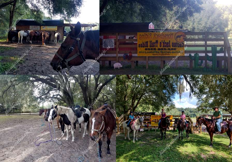 Cactus Jack's Trail Rides de Ocala | Horario, Mapa y entradas 2
