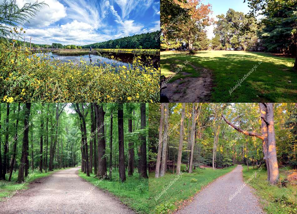 Caledon State Park de King George | Horario, Mapa y entradas