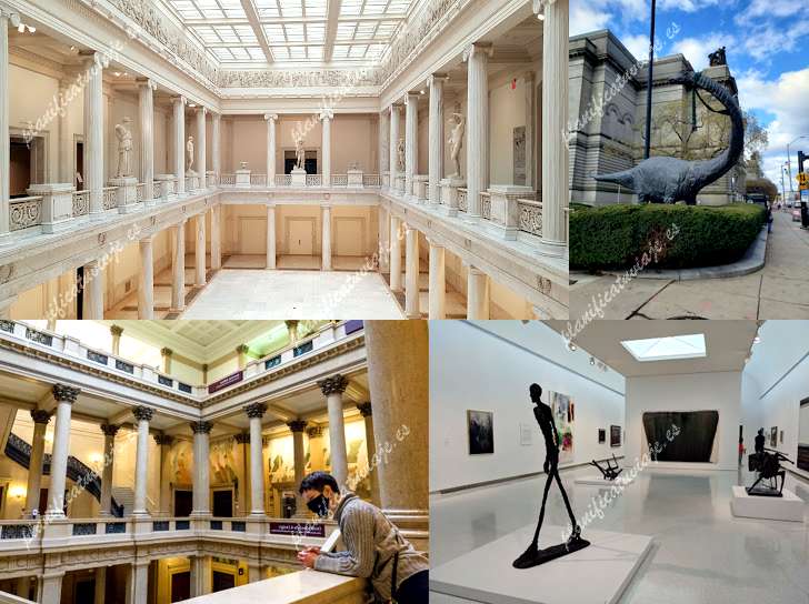 Carnegie Museum of Art de Pittsburgh | Horario, Mapa y entradas