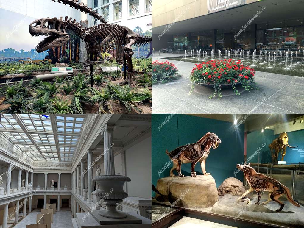 Carnegie Museum of Natural History de Pittsburgh | Horario, Mapa y entradas