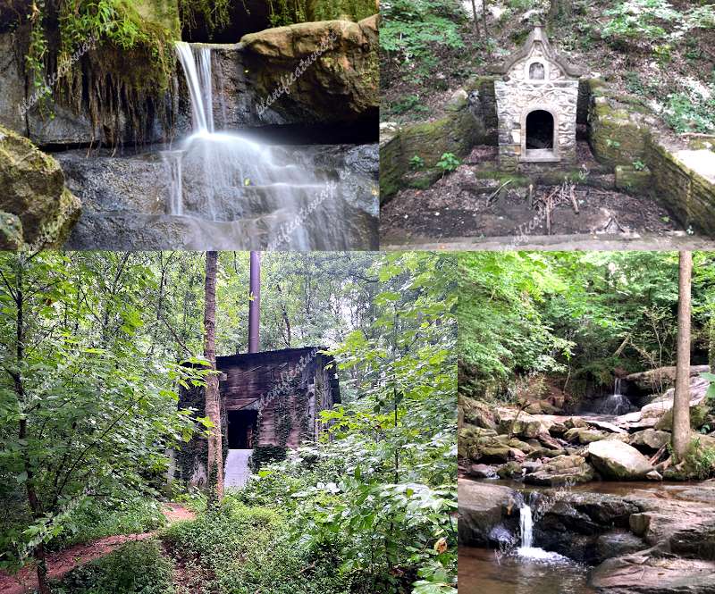 Cascade Springs Nature Preserve de Atlanta | Horario, Mapa y entradas