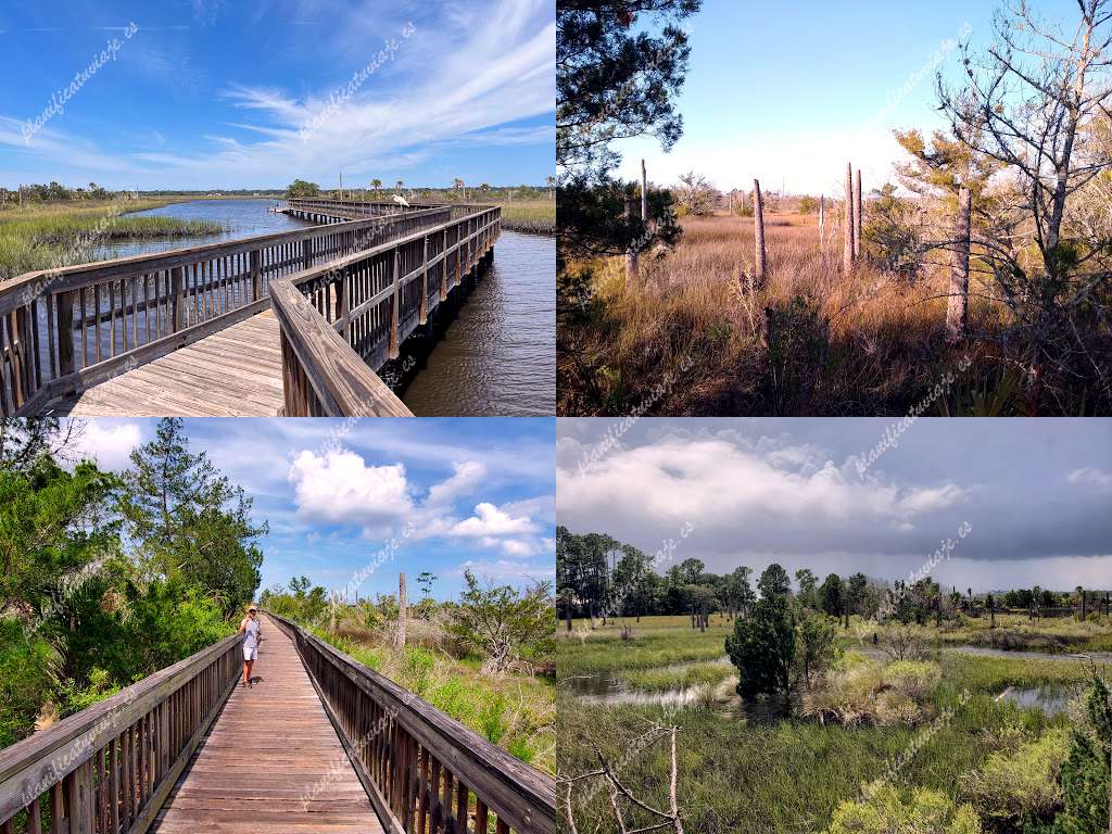 Castaway Island Preserve de Jacksonville | Horario, Mapa y entradas