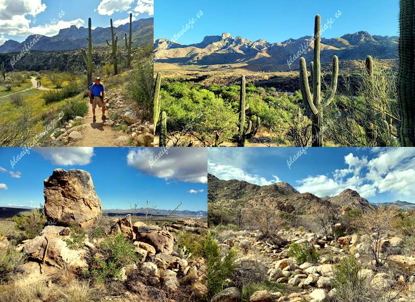 Catalina State Park de Tucson | Horario, Mapa y entradas
