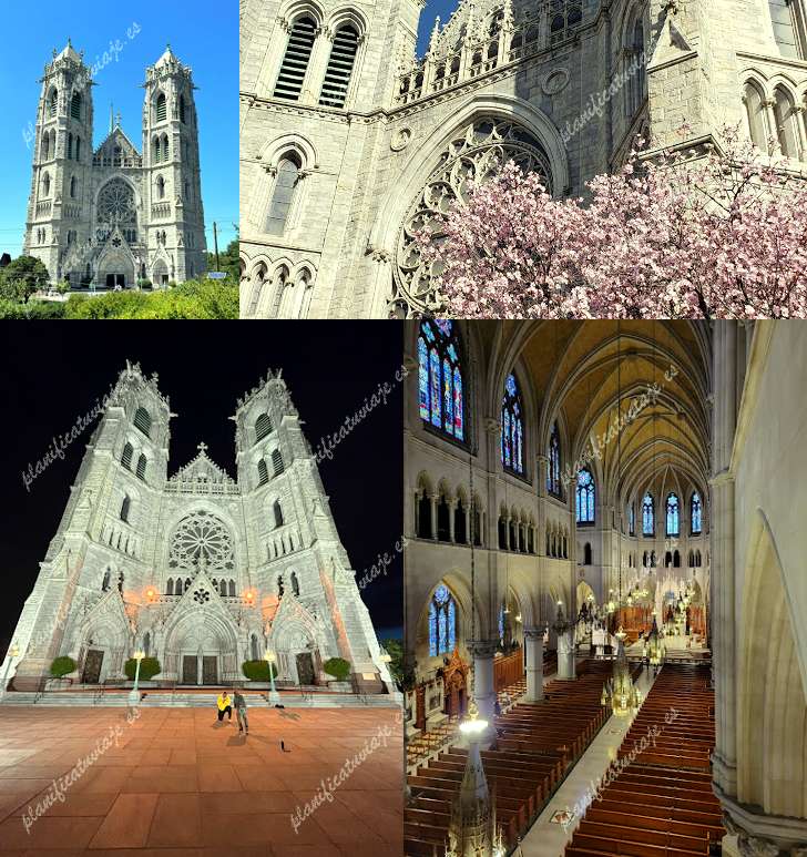 Cathedral Basilica of the Sacred Heart de Newark | Horario, Mapa y entradas