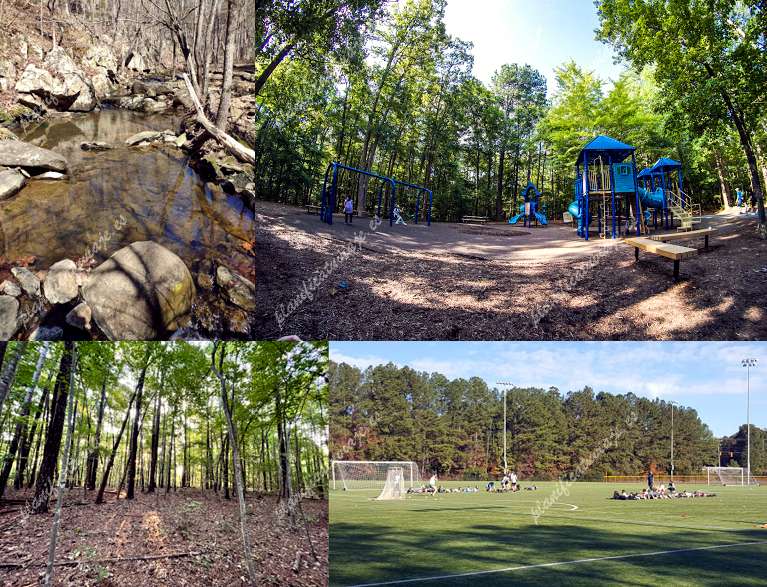 Cedar Falls Park de Chapel Hill | Horario, Mapa y entradas