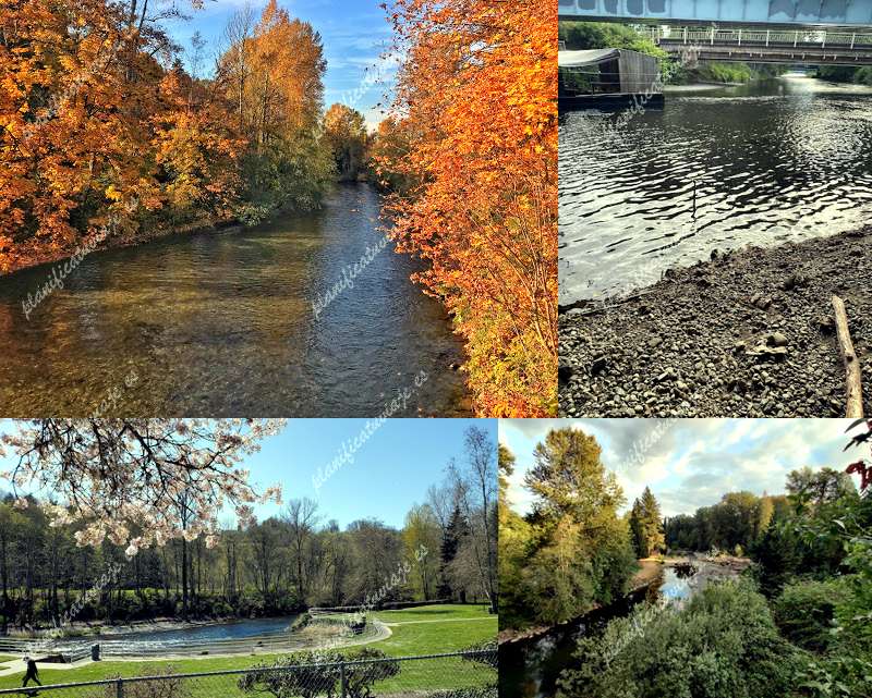 Cedar River Park de Renton | Horario, Mapa y entradas 1