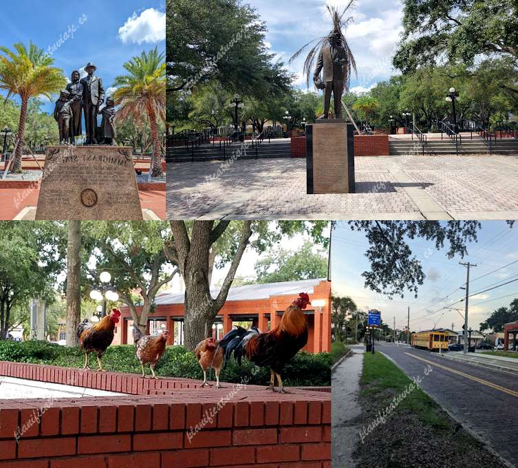 Centennial Park de Tampa | Horario, Mapa y entradas