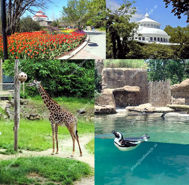 Cincinnati Zoo & Botanical Garden de Cincinnati | Horario, Mapa y entradas
