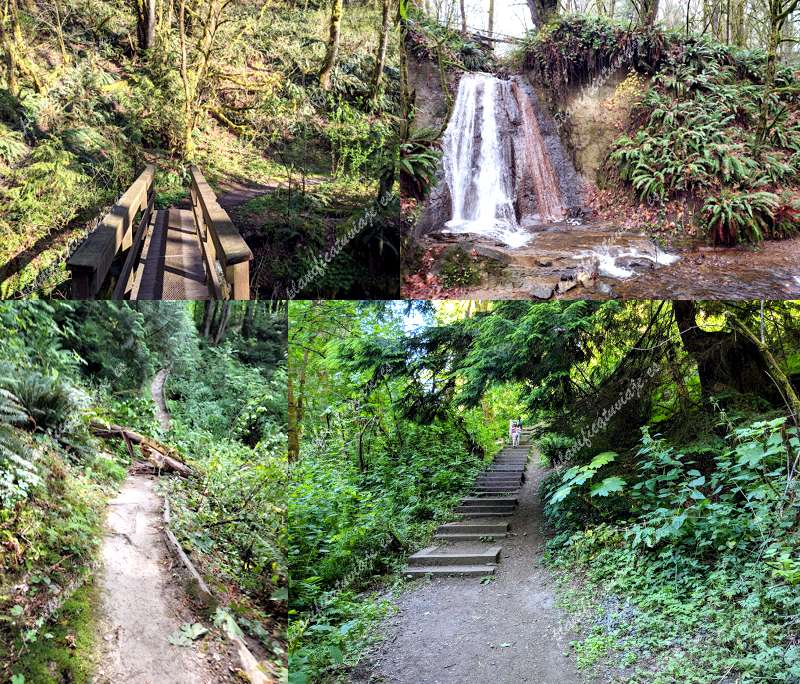 Coal Creek Natural Area de Bellevue | Horario, Mapa y entradas