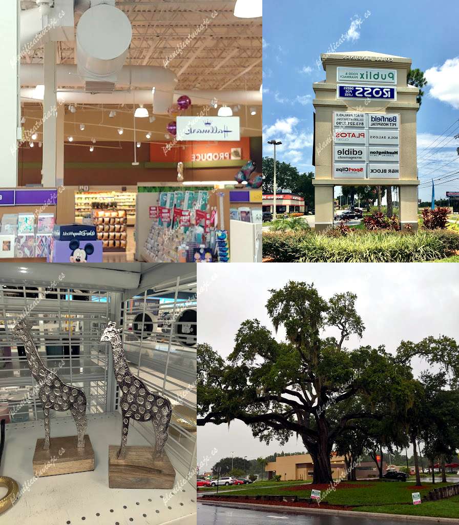 Coral Landings Shopping Plaza de Palm Harbor | Horario, Mapa y entradas