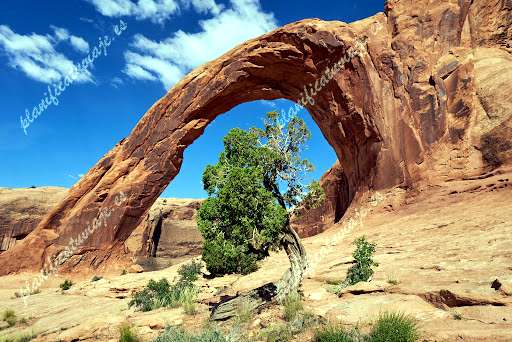 Corona Arch de Moab | Horario, Mapa y entradas