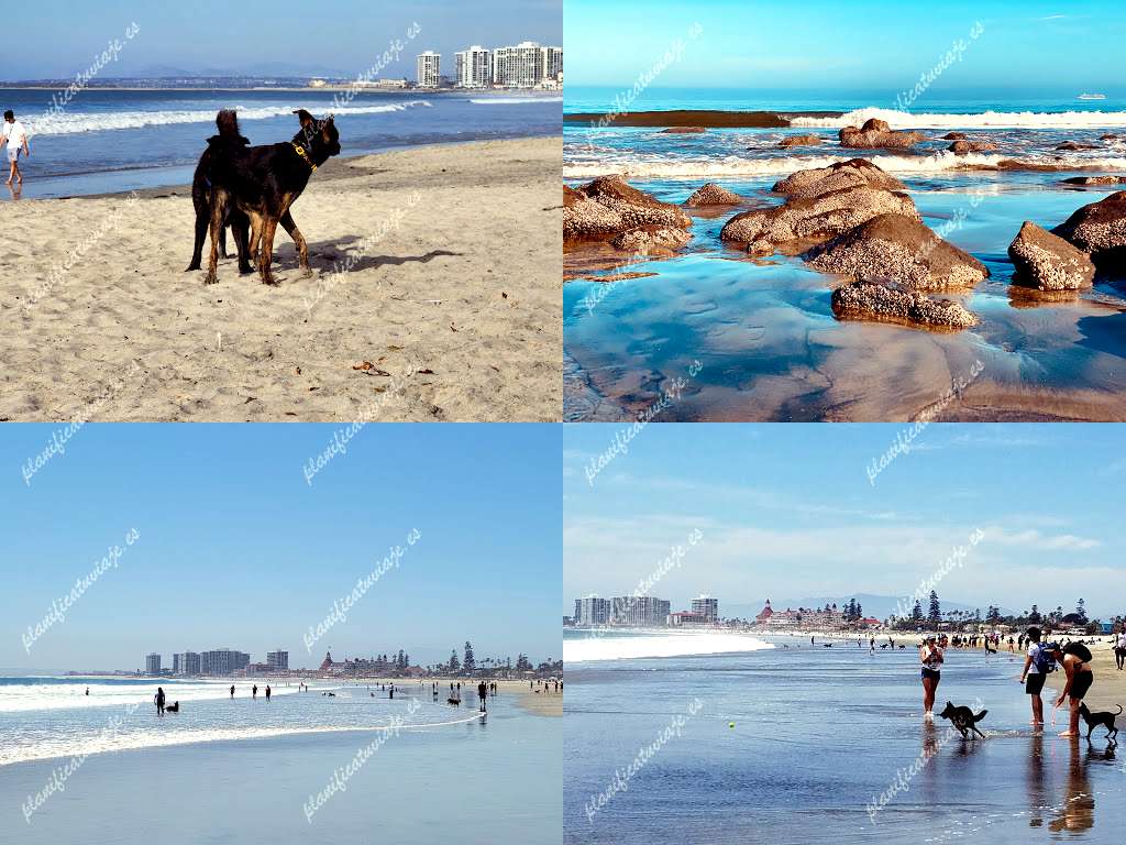 Coronado Beach & Dog Park de Coronado | Horario, Mapa y entradas