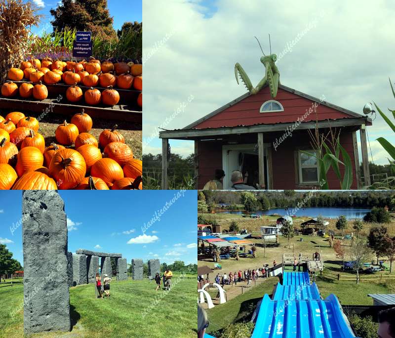 Cox Farms de Centreville | Horario, Mapa y entradas